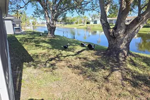 3604 Delta Pl, Holiday, FL 34691 - Photo 16