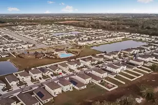 16820 Delia St, Wimauma, FL 33598 - Photo 4