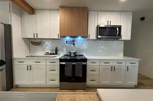 4412 W Trilby Ave, Tampa, FL 33616 - Photo 14