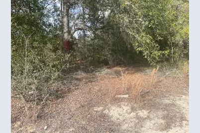 0 Rainbow Lakes Estates Blvd, Dunnellon, FL 34431 - Photo 1