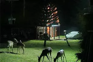 [Address not provided], Orlando, FL 32828 - Photo 32