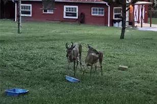 [Address not provided], Orlando, FL 32828 - Photo 30