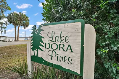 3450 Laurel Drive, Mount Dora, FL 32757 - Photo 2
