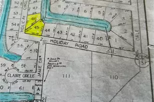 55730 Holiday Cir, Astor, FL 32102 - Photo 48