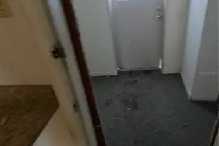 216 NW 4th Ave, Mulberry, FL 33860 - Photo 22