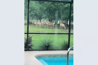 21949 SW 85th Loop, Dunnellon, FL 34431 - Photo 36