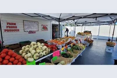 3351 Bahia Vista Street, Sarasota, FL 34239 - Photo 2