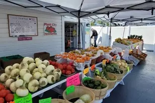 3351 Bahia Vista St, Sarasota, FL 34239 - Photo 2