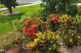 532 Emily Gln St, Deland, FL 32724 - Photo 8