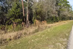 8824 Sun N Lake Blvd, Sebring, FL 33872 - Photo 4