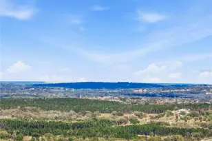 1923 Perch Hammock Loop, Groveland, FL 34736 - Photo 74