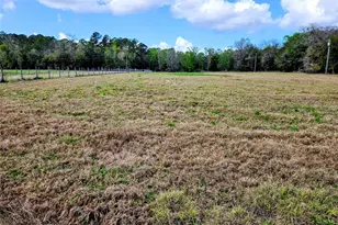 1488 Causey Ln, Seville, FL 32190 - Photo 22