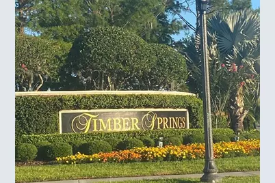 337 Bella Vida Boulevard, Orlando, FL 32828 - Photo 44