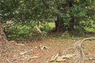 810 W 14th St, Lakeland, FL 33805 - Photo 2