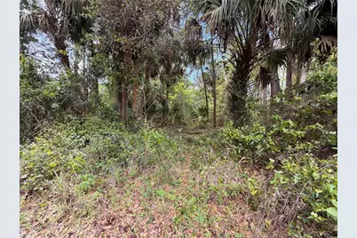 County Road 445A, Astor, FL 32102 - Photo 4