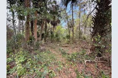 County Road 445A, Astor, FL 32102 - Photo 6