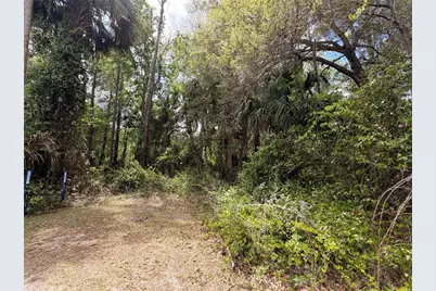 County Road 445A, Astor, FL 32102 - Photo 2