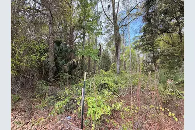 County Road 445A, Astor, FL 32102 - Photo 8