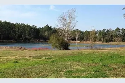 54523 Astor Transfer Station Road, Astor, FL 32102 - Photo 8