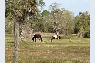 54523 Astor Transfer Station Road, Astor, FL 32102 - Photo 28