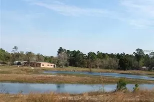 54523 Astor Transfer Station Rd, Astor, FL 32102 - Photo 10