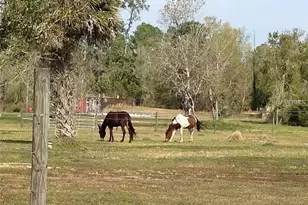 54523 Astor Transfer Station Rd, Astor, FL 32102 - Photo 6