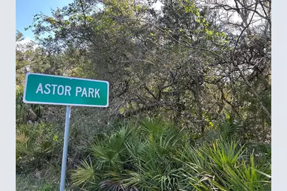 County Road 445A, Astor, FL 32102 - Photo 1