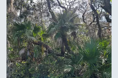 County Road 445A, Astor, FL 32102 - Photo 2