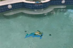 3140 Rosemarie Dr, Kissimmee, FL 34746 - Photo 18