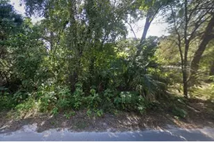 NE 167th Pl, Citra, FL 32113 - Photo 1