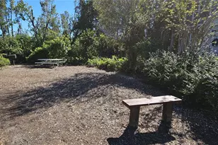 5581 Rosehill Rd, Sarasota, FL 34233 - Photo 16