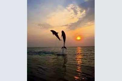 1761 Auburn Lakes Drive #11, Venice, FL 34292 - Photo 74