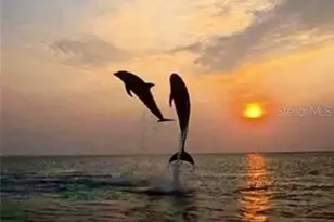 1761 Auburn Lakes Dr, Venice, FL 34292 - Photo 74