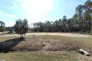 Joyce St, Hastings, FL 32145 - Photo 1