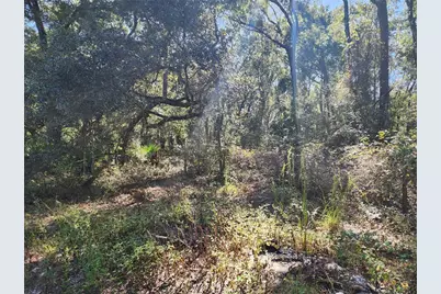 7910 NW 141st Street, Trenton, FL 32693 - Photo 74