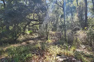 7910 NW 141st St, Trenton, FL 32693 - Photo 74