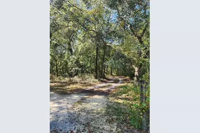 7910 NW 141st Street, Trenton, FL 32693 - Photo 10