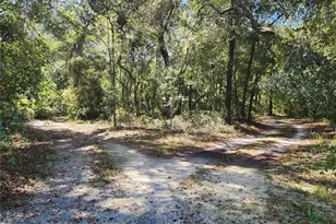 7910 NW 141st St, Trenton, FL 32693 - Photo 16