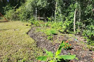 7910 NW 141st St, Trenton, FL 32693 - Photo 78