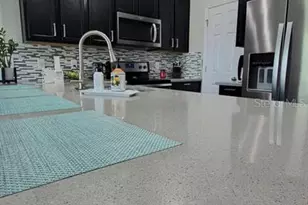 2629 Play Hard Aly, Kissimmee, FL 34744 - Photo 6