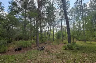 5719 W Stockholm Ln, Dunnellon, FL 34433 - Photo 4