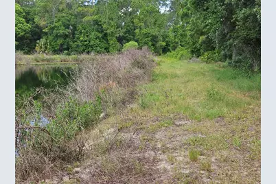 Burnsed Road, Pierson, FL 32180 - Photo 2