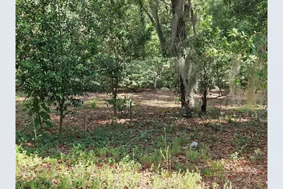 Burnsed Road, Pierson, FL 32180 - Photo 10