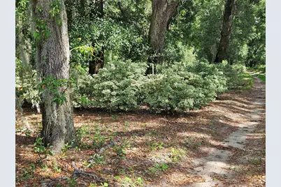 Burnsed Road, Pierson, FL 32180 - Photo 8