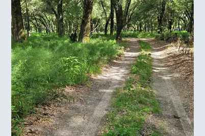 Burnsed Road, Pierson, FL 32180 - Photo 8