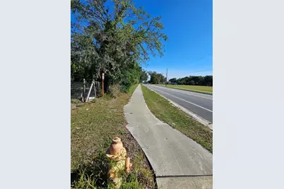 123 W 2nd Avenue, Pierson, FL 32180 - Photo 2
