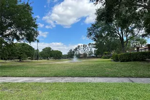 2002 Fishtail Fern Way, Ocoee, FL 34761 - Photo 50