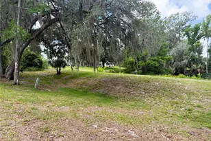 127 Royal Palm Dr, Leesburg, FL 34748 - Photo 52