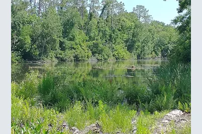 0000 Eagle Boulevard, Land O Lakes, FL 34639 - Photo 4