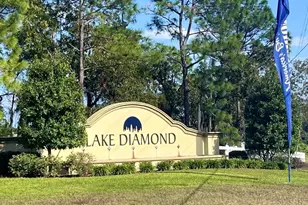 39 Hickory Course Way, Ocala, FL 34472 - Photo 30